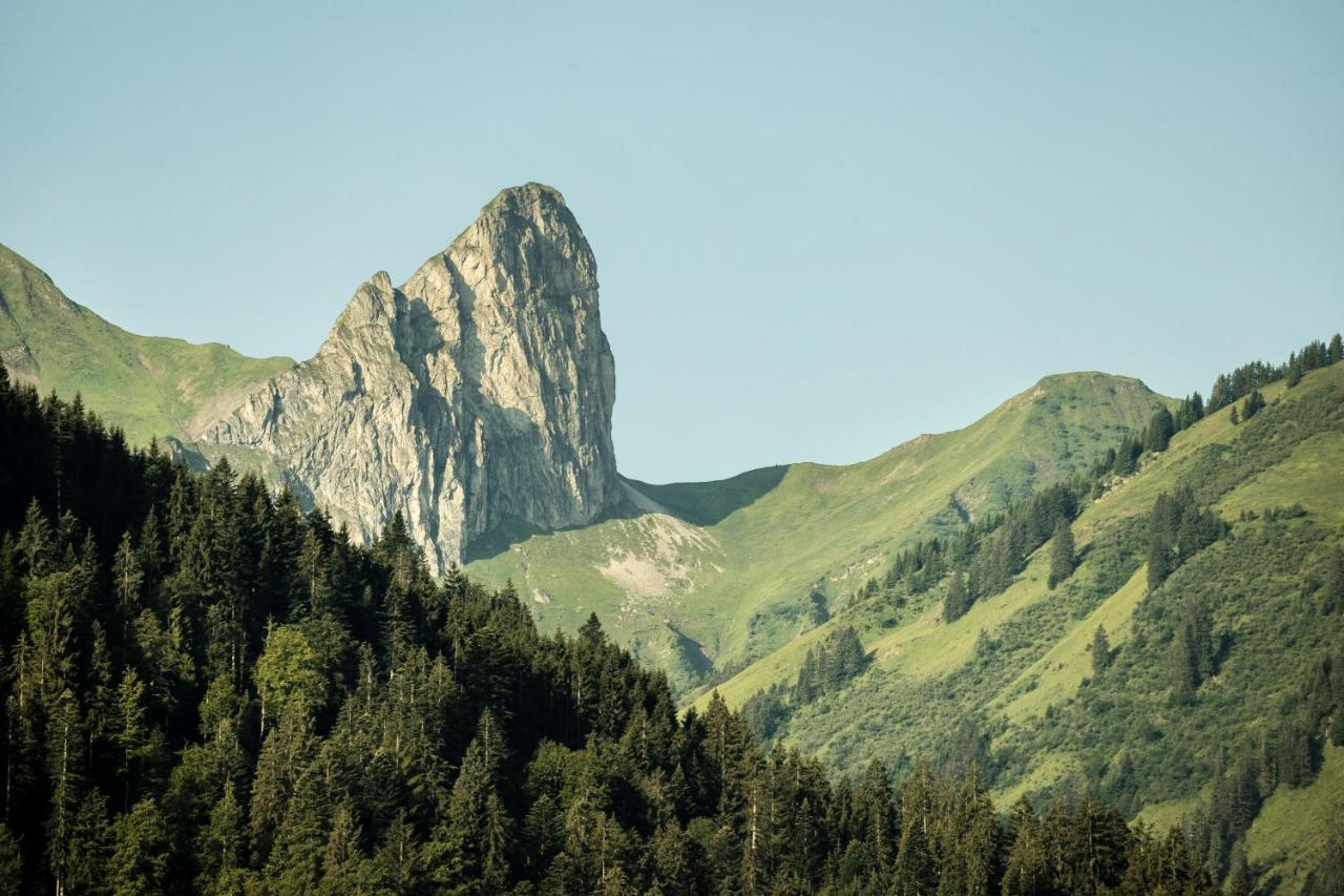 Boutiquehotel Das Edelweiss Schoppernau Dış mekan fotoğraf