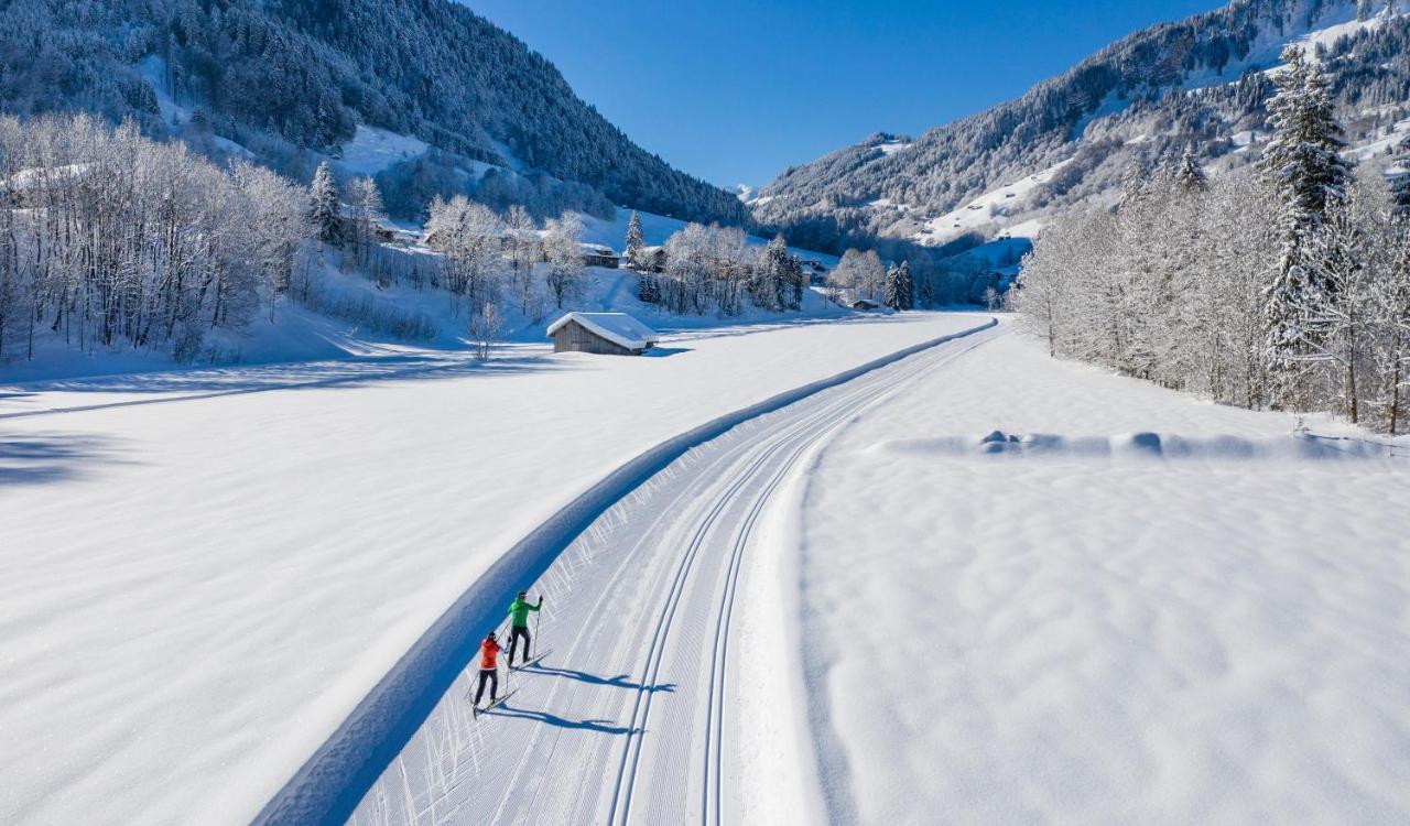 Boutiquehotel Das Edelweiss Schoppernau Dış mekan fotoğraf