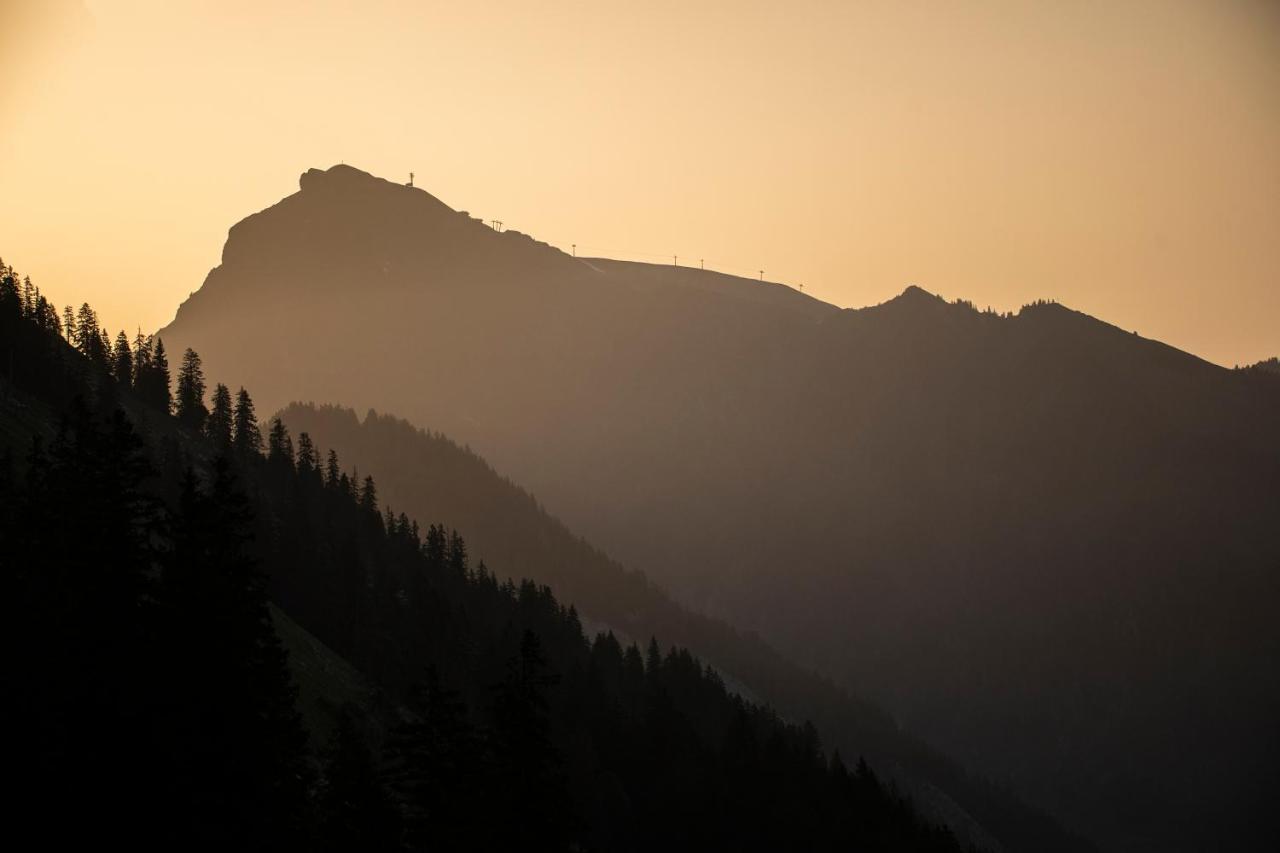 Boutiquehotel Das Edelweiss Schoppernau Dış mekan fotoğraf